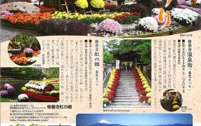 修善寺菊花まつりのご案内