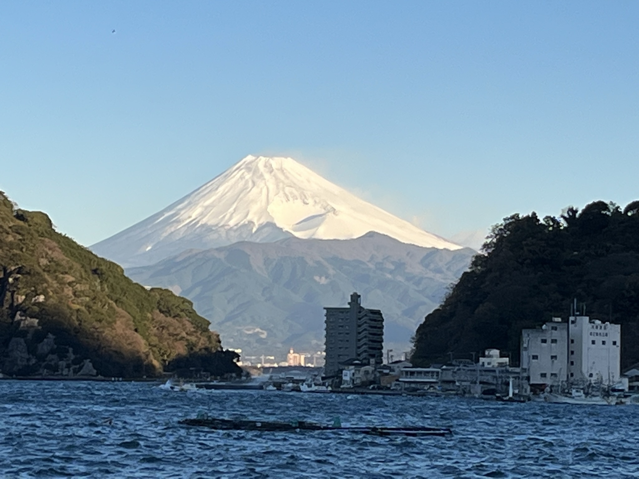 富士山絶景旅館 伊豆･三津浜 松濤館公式HP【最低価格保証】 | IMG_2821