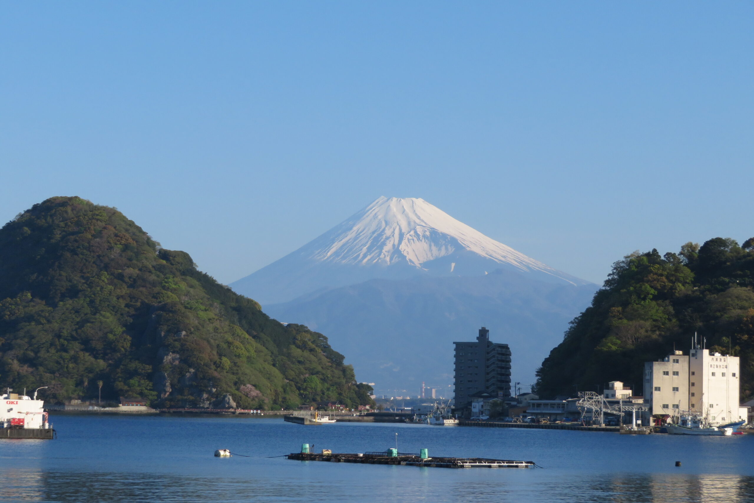 富士山絶景旅館 伊豆･三津浜 松濤館公式HP【最低価格保証】 | IMG_5319